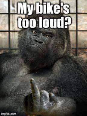 my bikes too loud