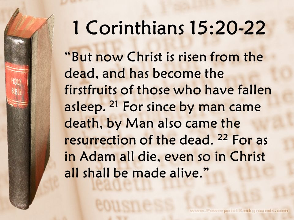 Jesus - adam all die