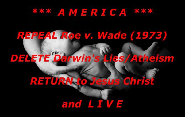 baby in arms REPEAL ROE 2