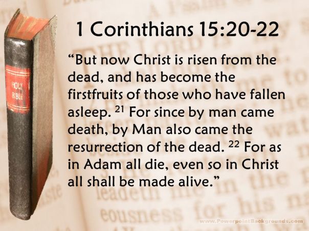 Jesus - adam all die