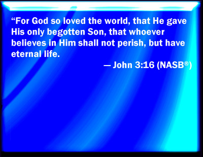 Jesus - john 3 16 nasb