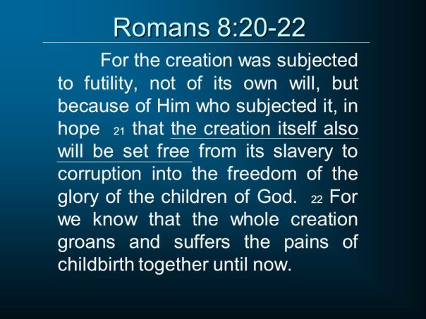 jesus - creation groans for redemption