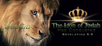 jesus - the lion from the tribe of judah has conquered