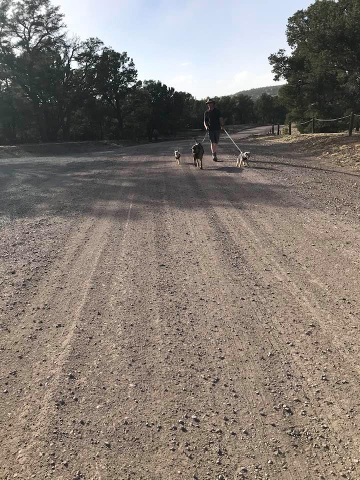 This image has an empty alt attribute; its file name is rv-datil-1.jpg