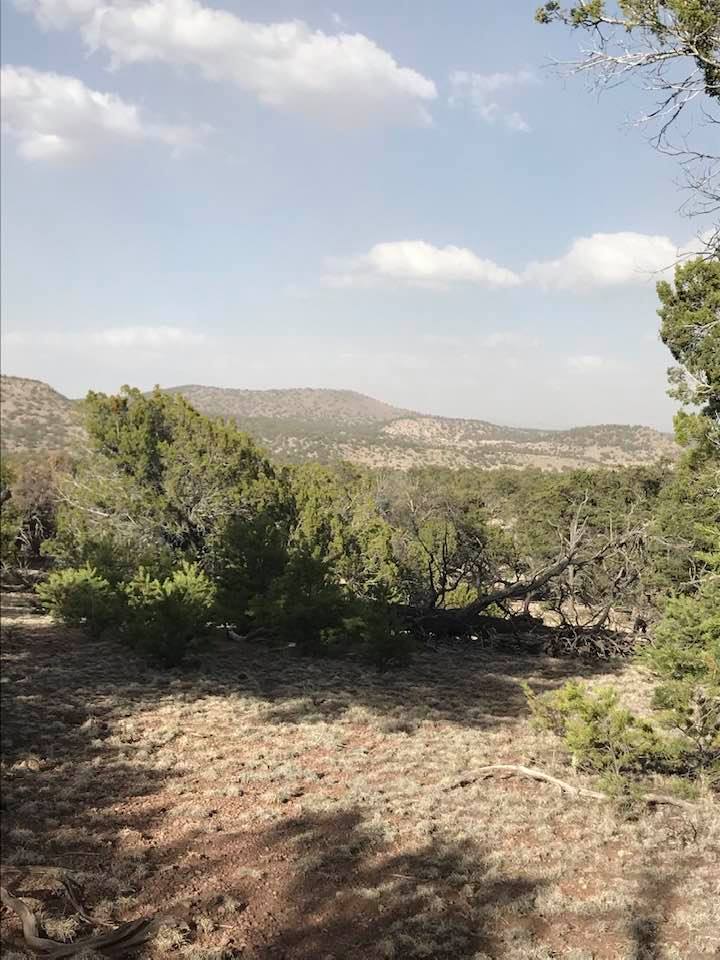 This image has an empty alt attribute; its file name is rv-datil-2.jpg