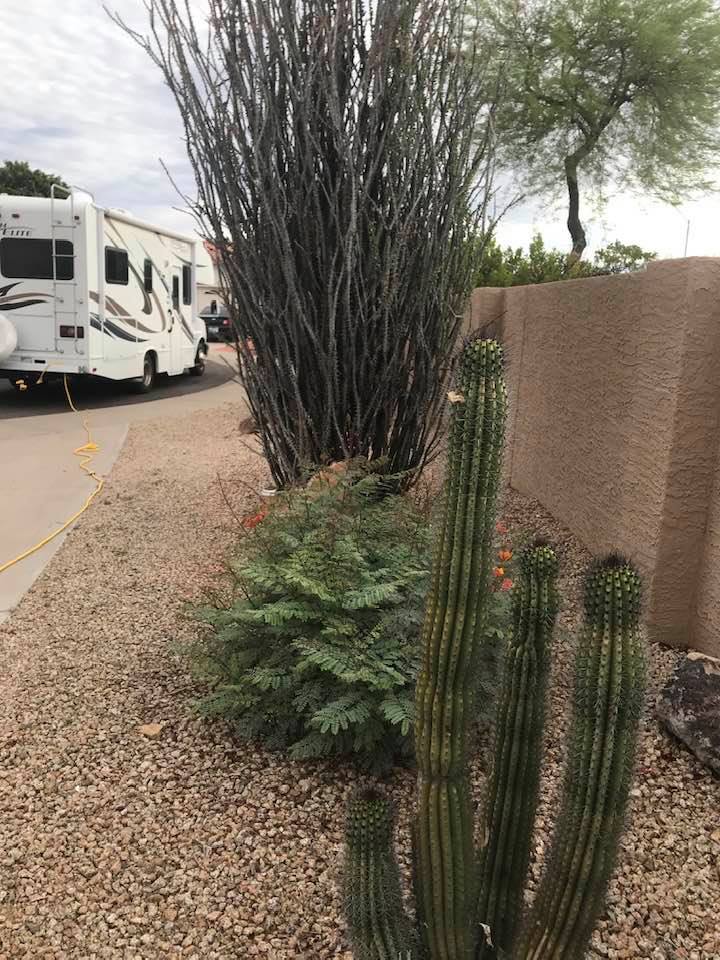 This image has an empty alt attribute; its file name is rv-rodicas-home-and-rv-cactus.jpg