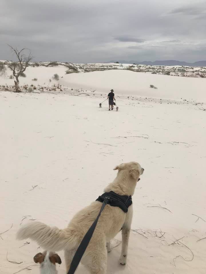 This image has an empty alt attribute; its file name is rv-white-sands-5.jpg