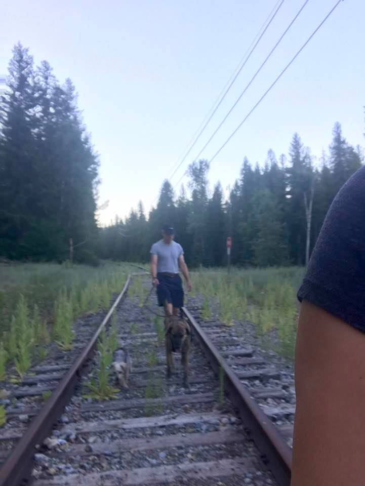 This image has an empty alt attribute; its file name is rv-ione-wa-walking-the-dogs-1.jpg