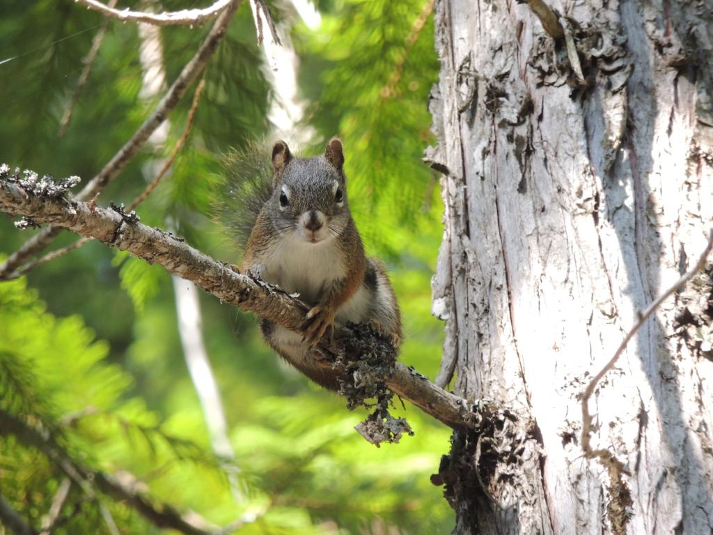 This image has an empty alt attribute; its file name is 203222152_10224169702617564_8256811701248056243_n.jpg