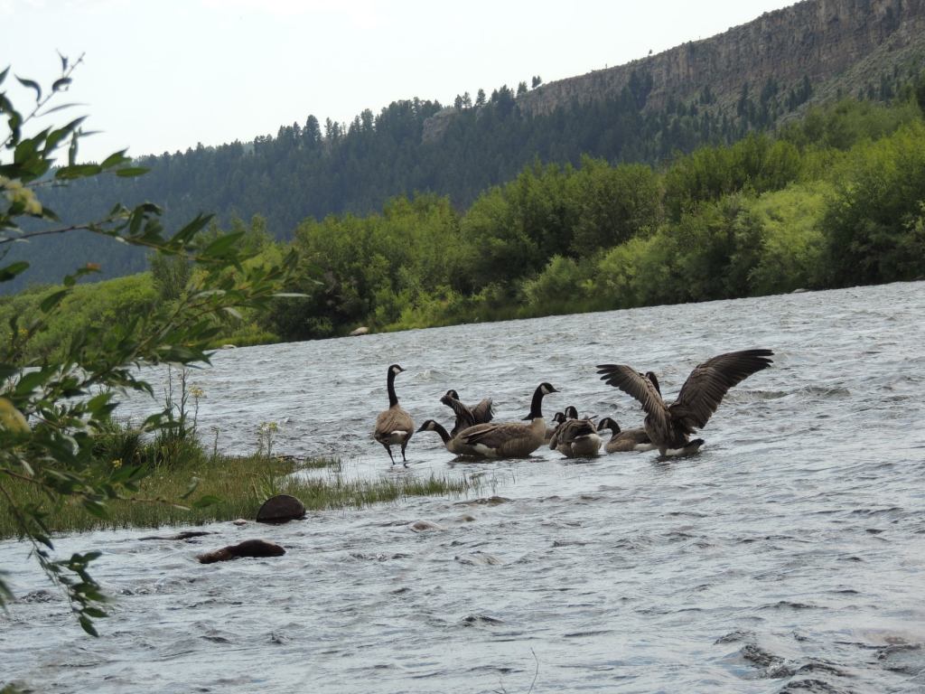 This image has an empty alt attribute; its file name is rv-7-21-neighbors.jpg