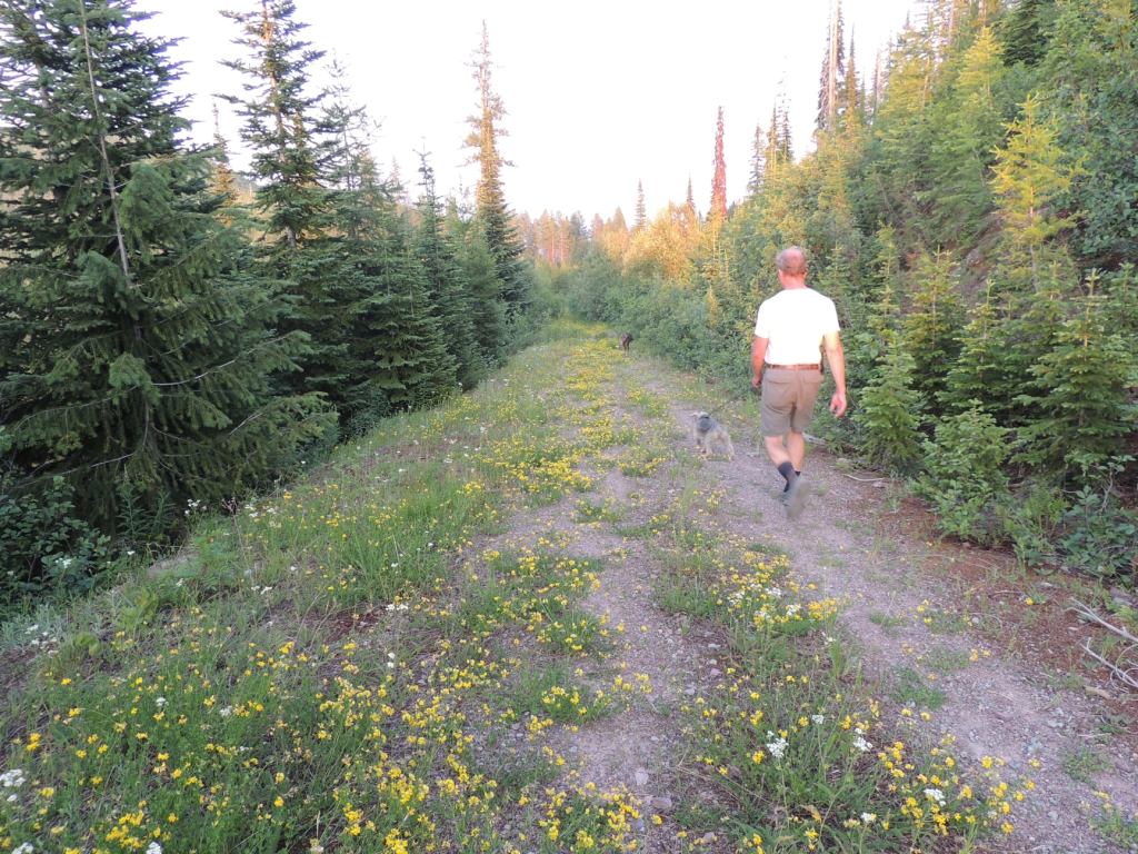 This image has an empty alt attribute; its file name is rv-july-10.jpg