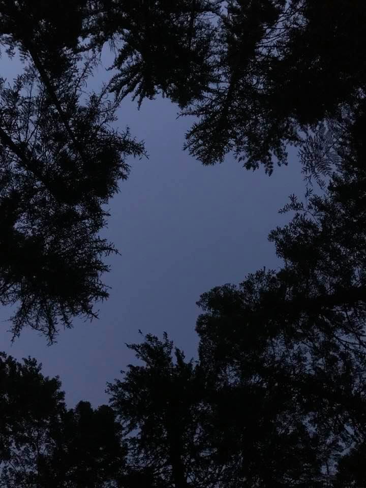 This image has an empty alt attribute; its file name is rv-july-6-verticle-view-from-camp.jpg