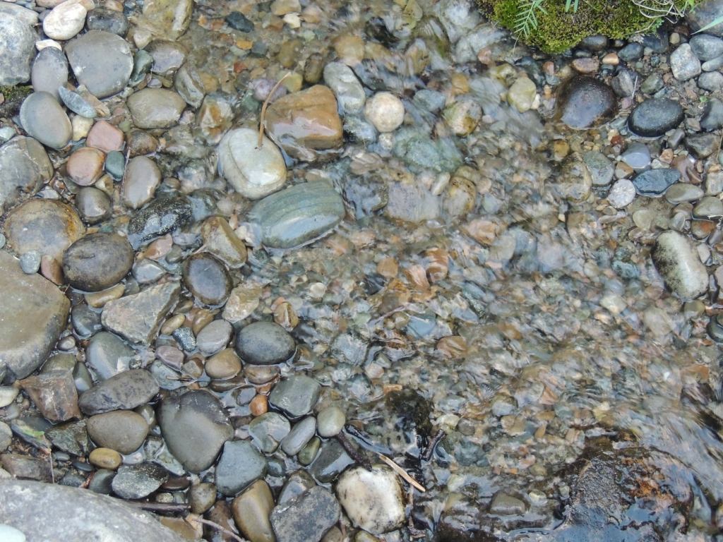 This image has an empty alt attribute; its file name is rv-river-rock.jpg