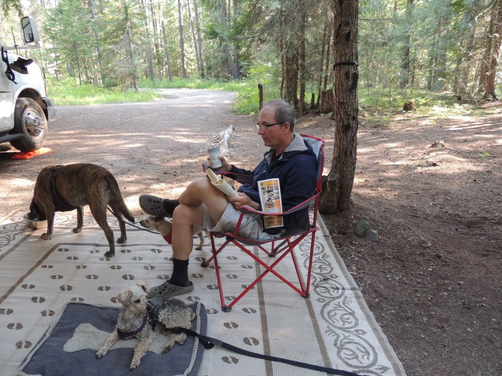 This image has an empty alt attribute; its file name is rv-stress-in-the-forest.jpg