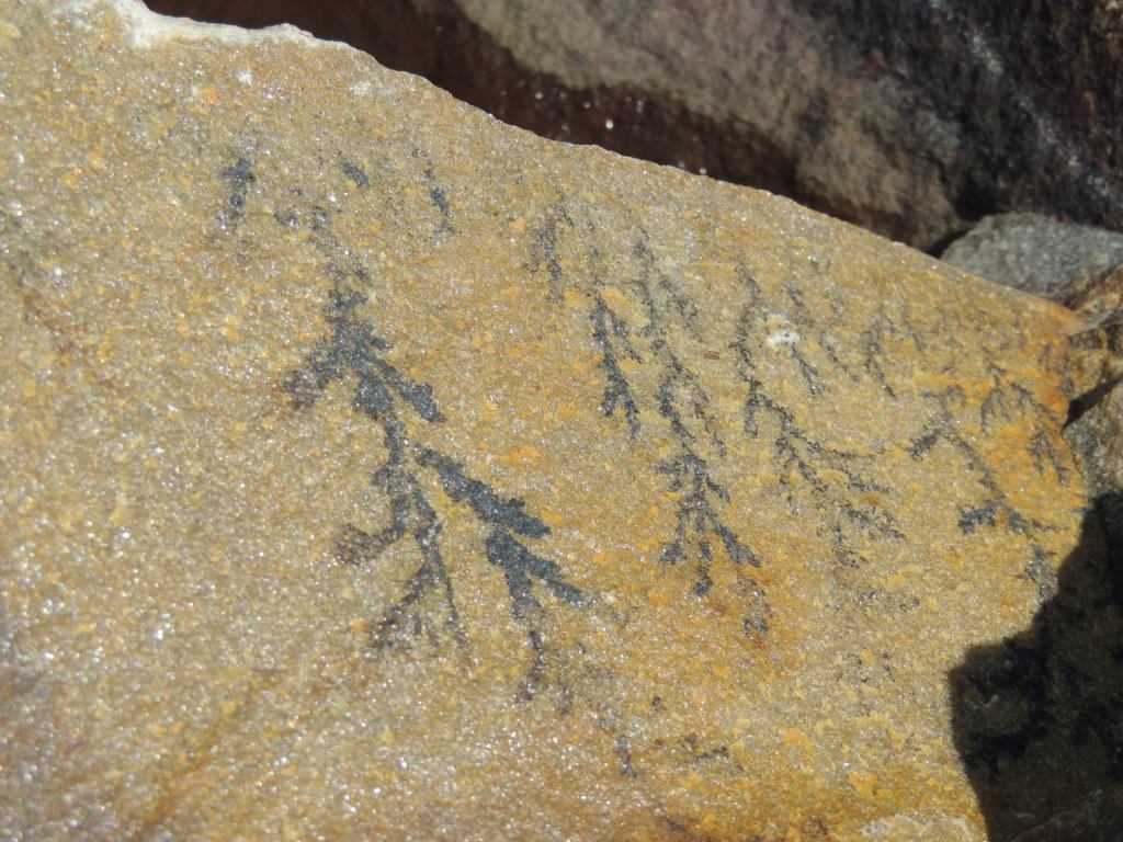 This image has an empty alt attribute; its file name is rv-rock-print.jpg