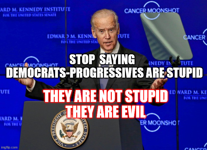 DEMOCRATS ARE EVIL NOT STUPID visual data 3
